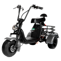 ЭЛЕКТРОСКУТЕР CITYCOCO GT X5 TRIKE 1500W 15AH 48V Серый