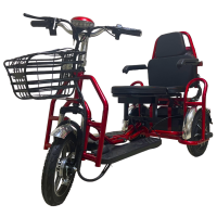 Электротрицикл Elbike Адъютант Double Twix A4 (2x350W 48V 20Ah)Trike