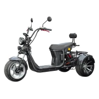 Электроскутер IKINGI M7 PRO TRIKE 3333W (Карбон)