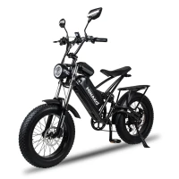 Электровелосипед Minako FOX (23Ah) Спицы черный